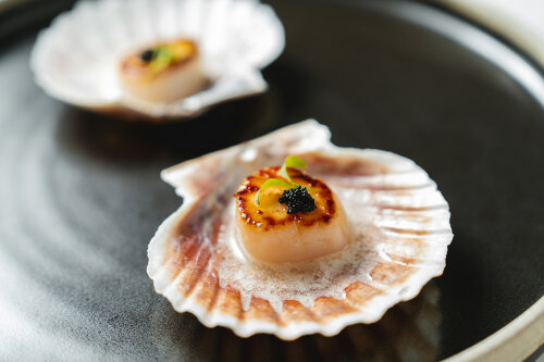 Seared Scallops with Lemon Butter Sauce