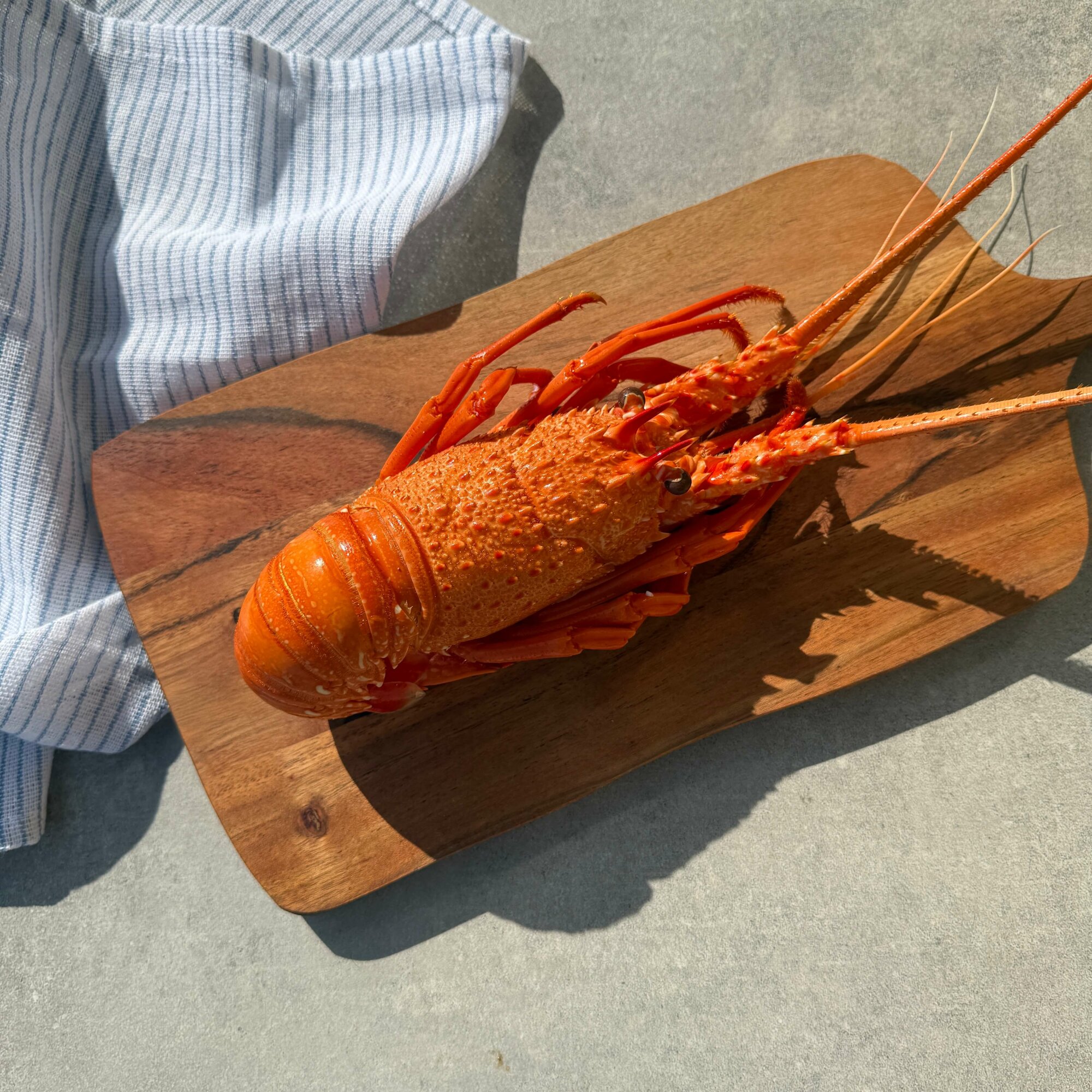 Western Australian Lobster (Cooked) Each