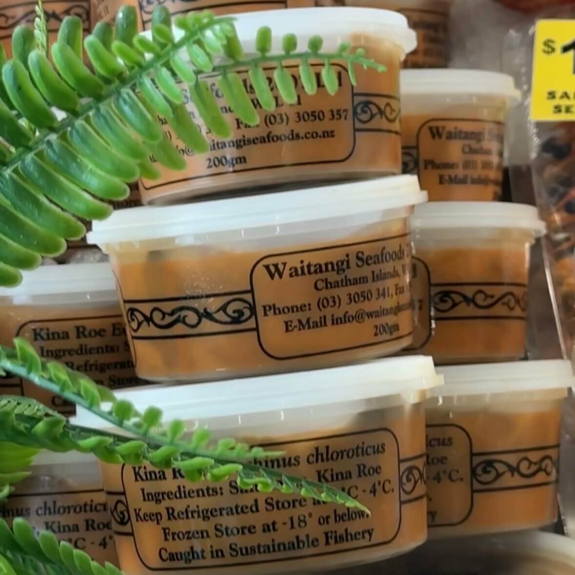 2 for $50 Kina | Frozen