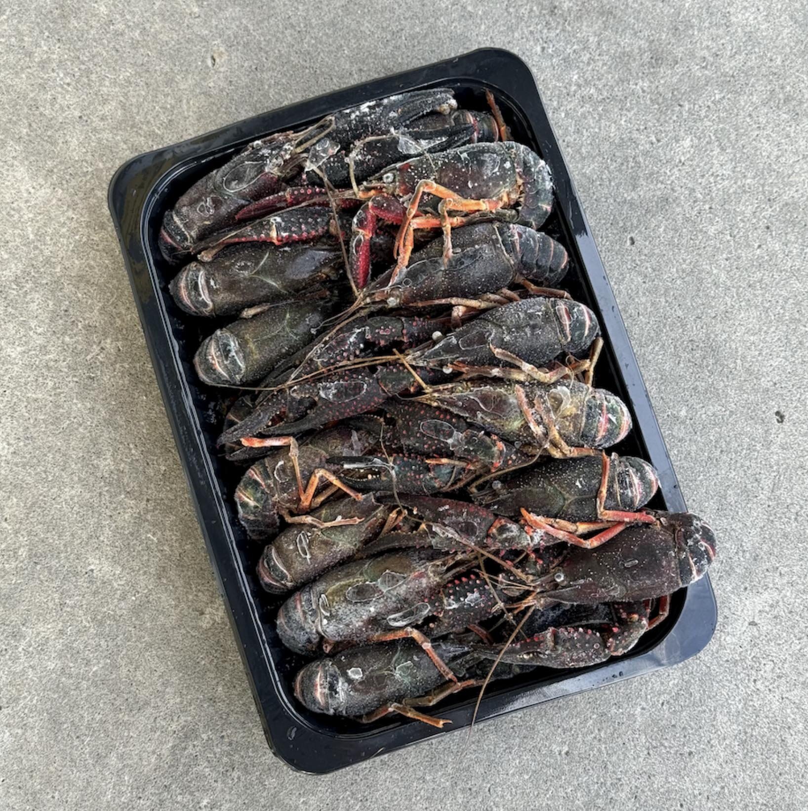 Crawfish (Raw) 1KG
