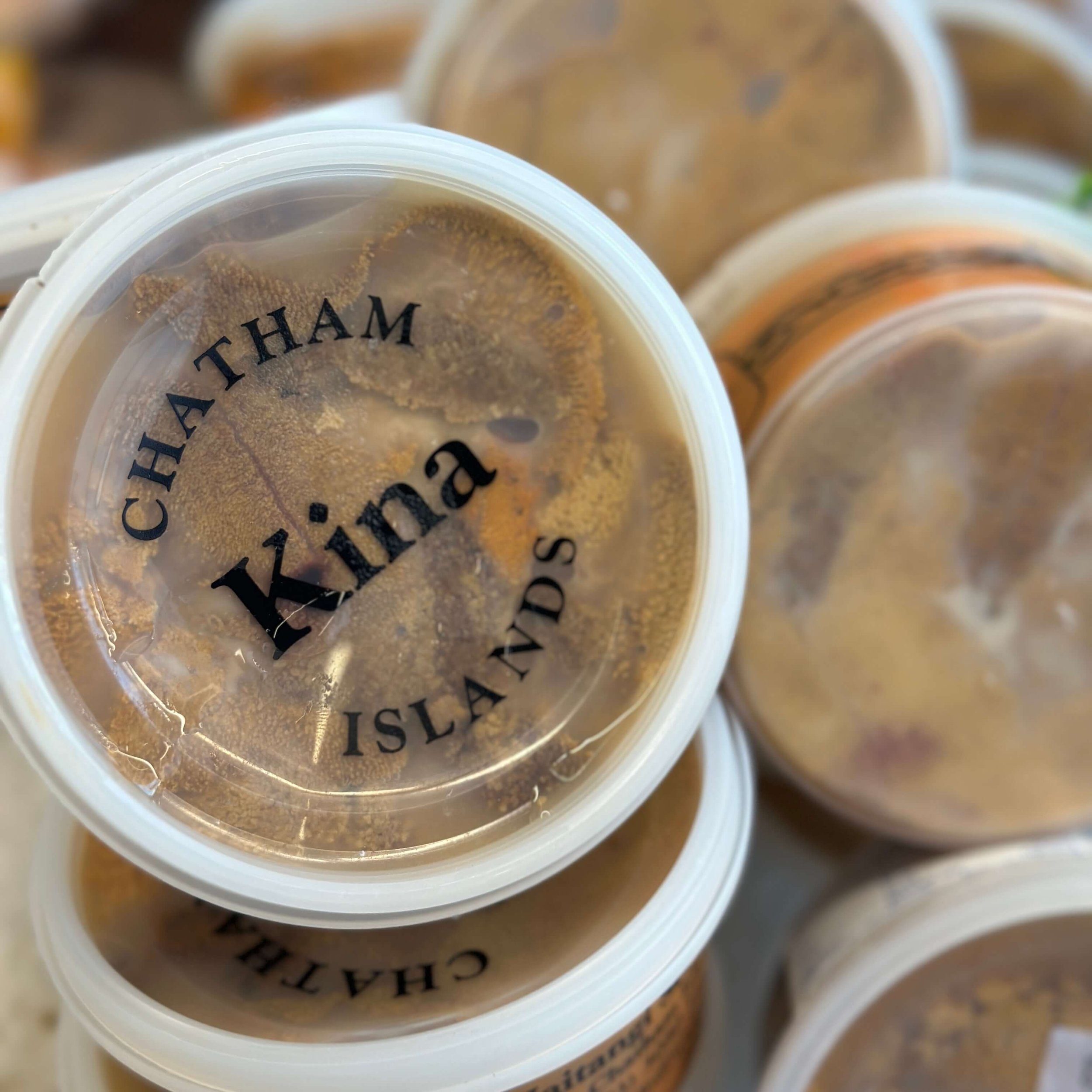 Kina Pot Fresh (Waitangi) 200g
