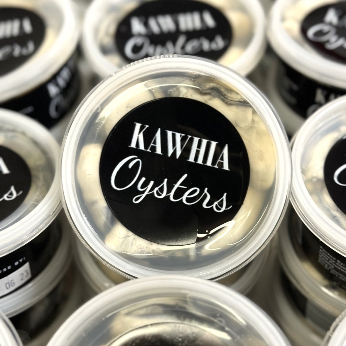 Kawhia Oysters Pot