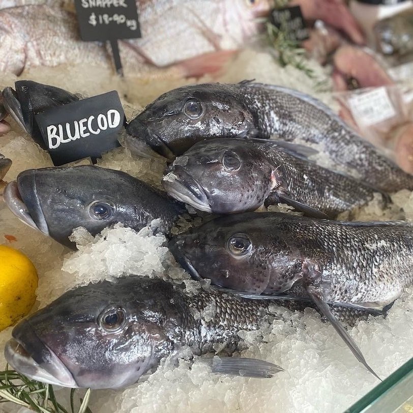 Blue Cod (Whole) 1KG
