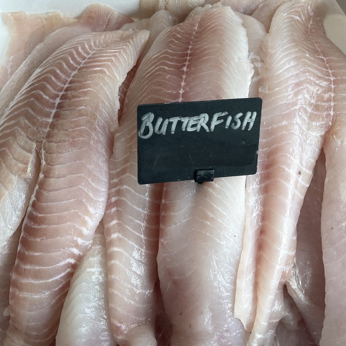Butterfish Fillets (Skinned & Boned)
