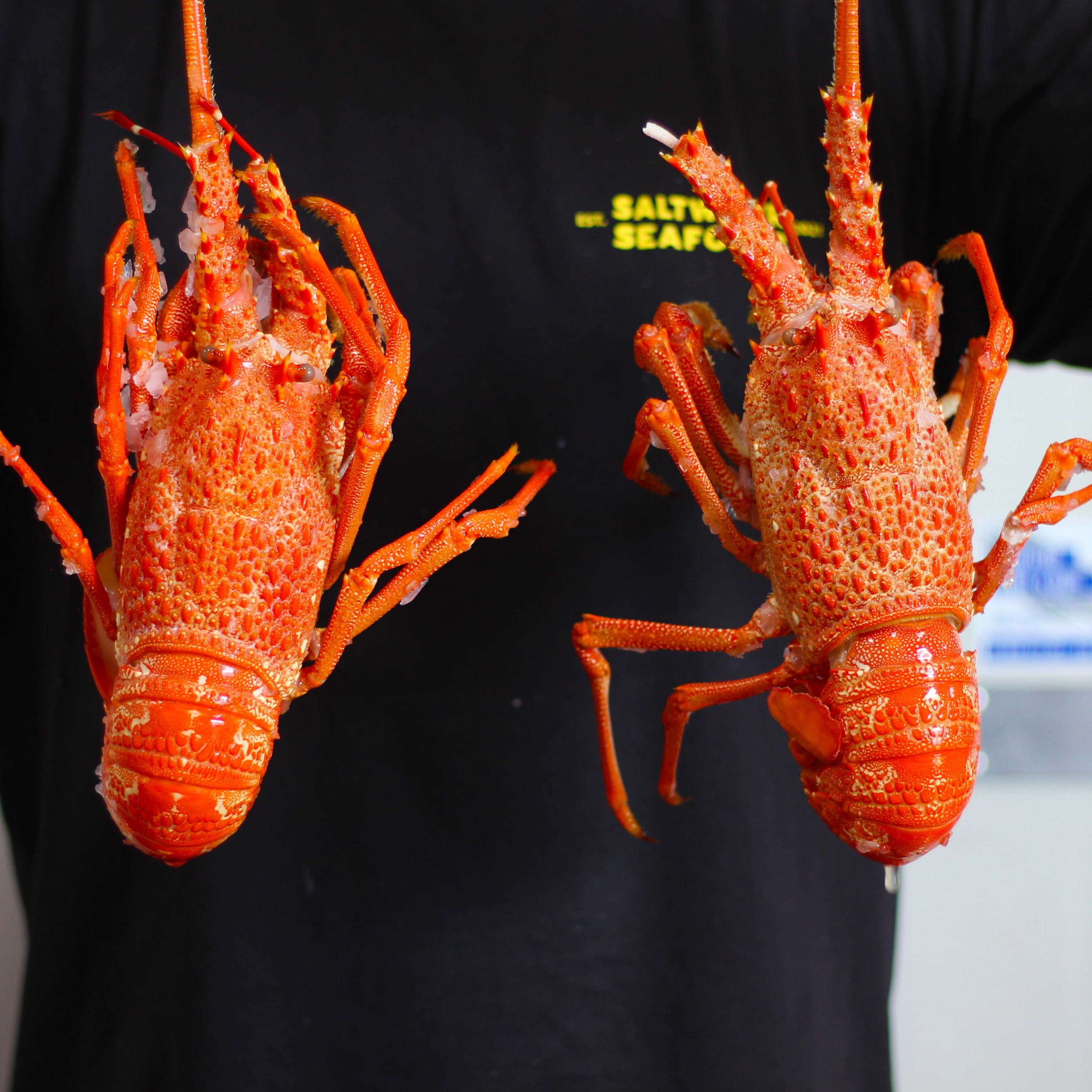 Crayfish (Whole Cooked)