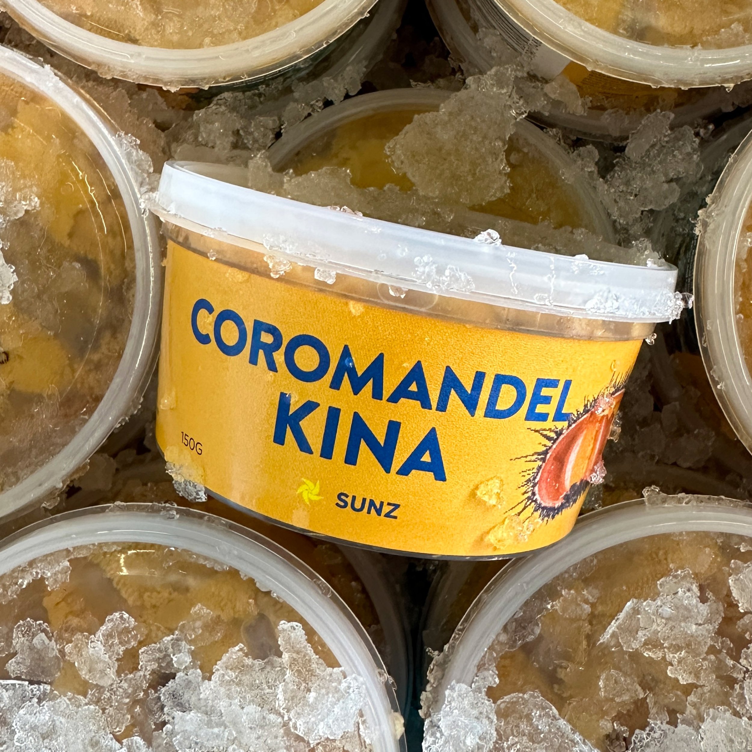 Kina Pot Fresh (SUNZ Coromandel) 150g