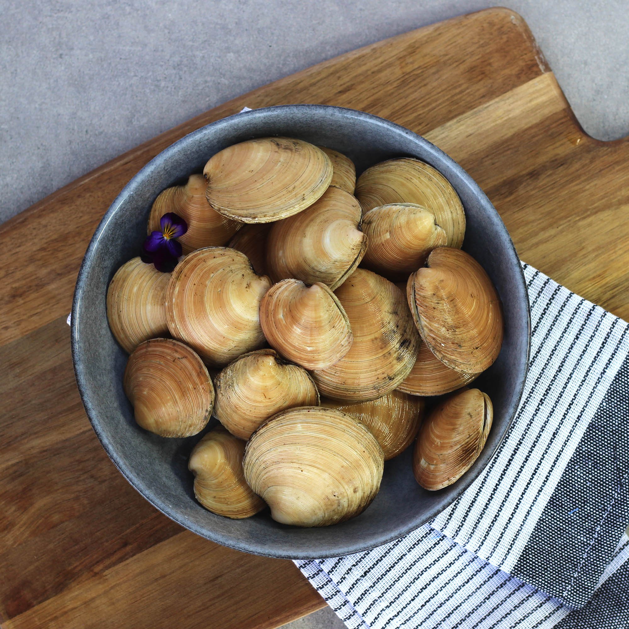 Moon Shell Clams (Live) 1KG