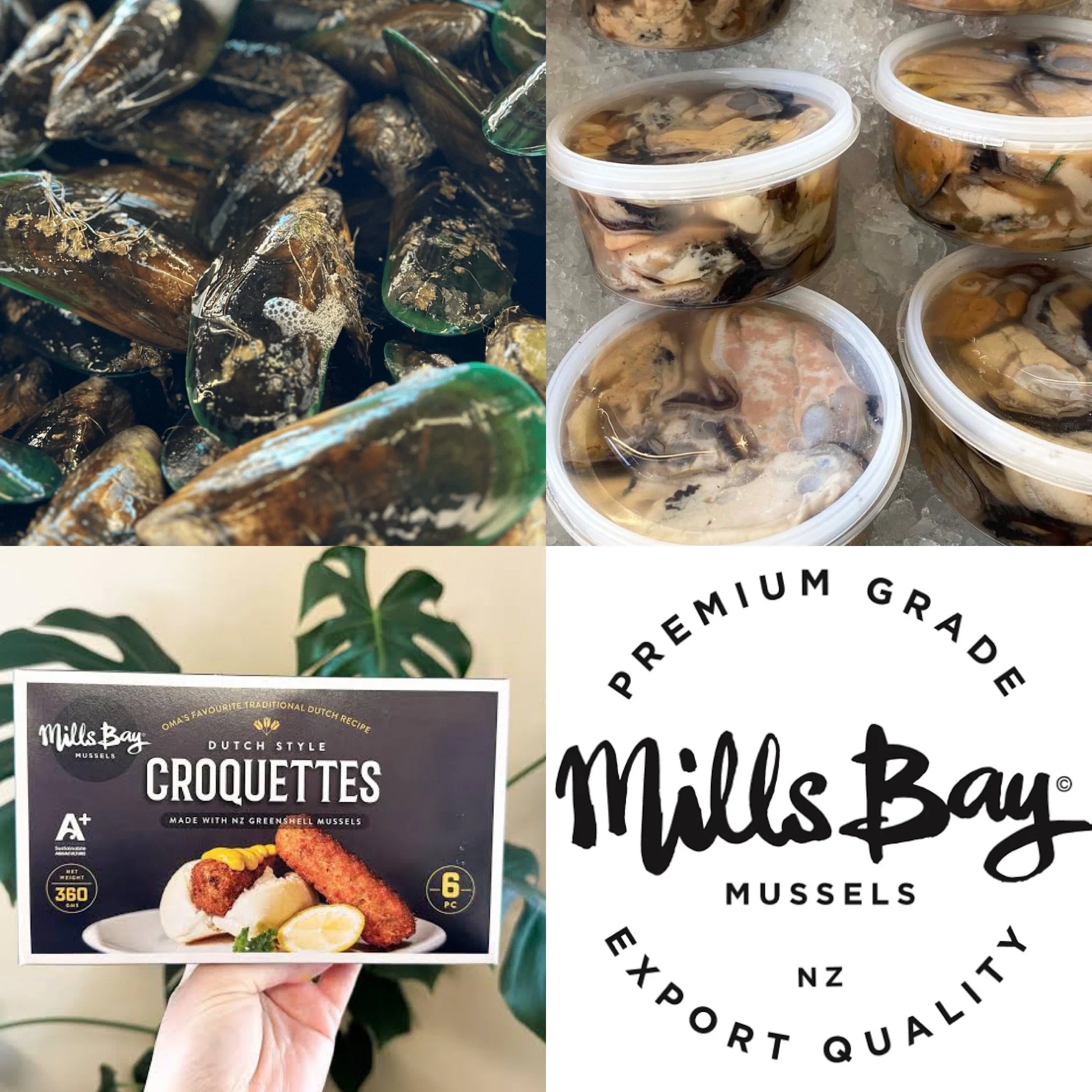 Mills Bay Mussel Trio