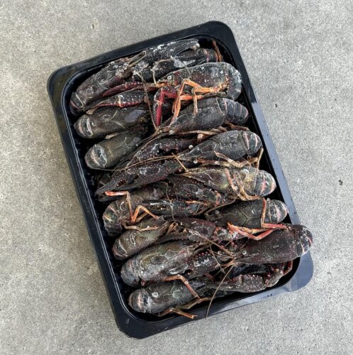 Crawfish (Raw) 1KG