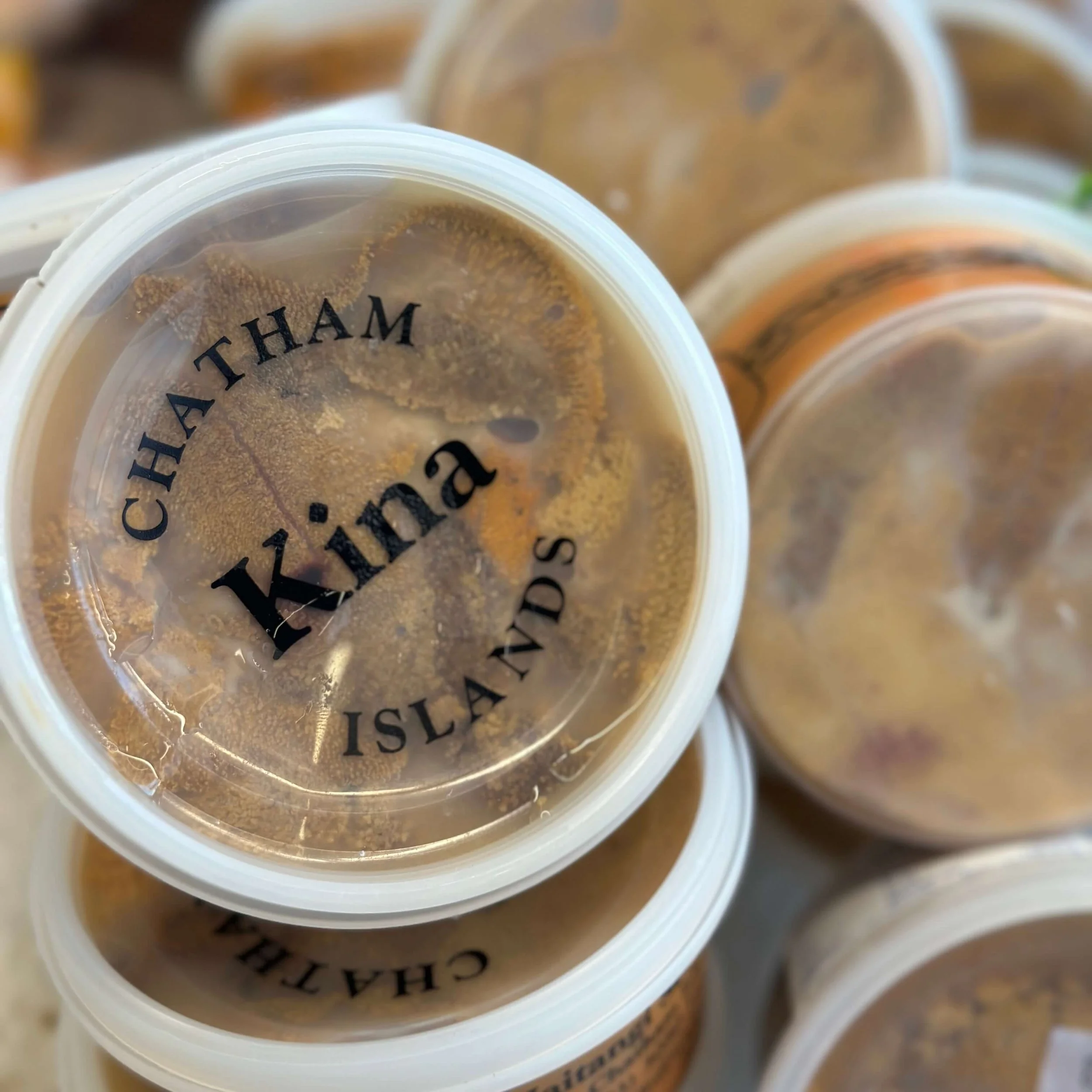 Kina Pot Fresh (Waitangi) 200g