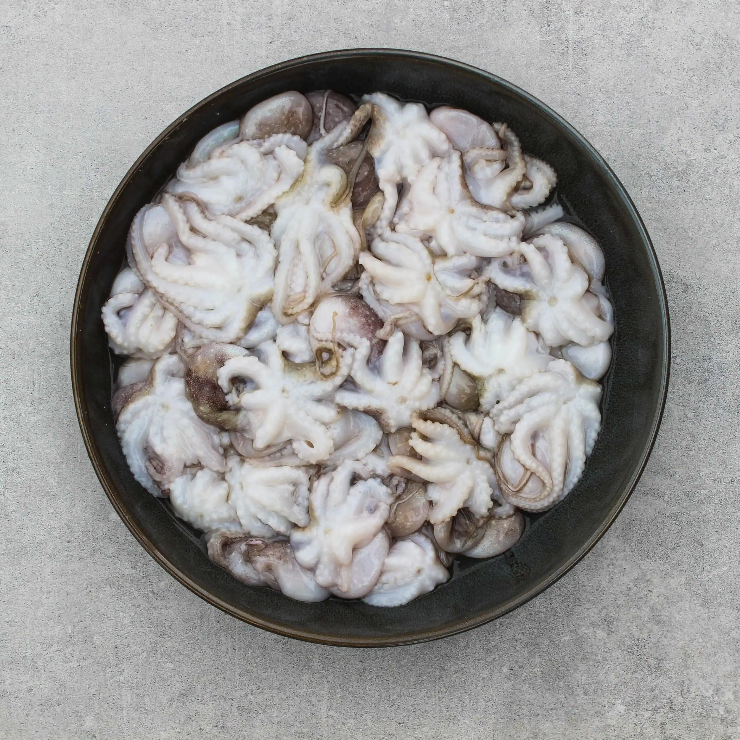 Baby Octopus (Whole, Raw) 1KG