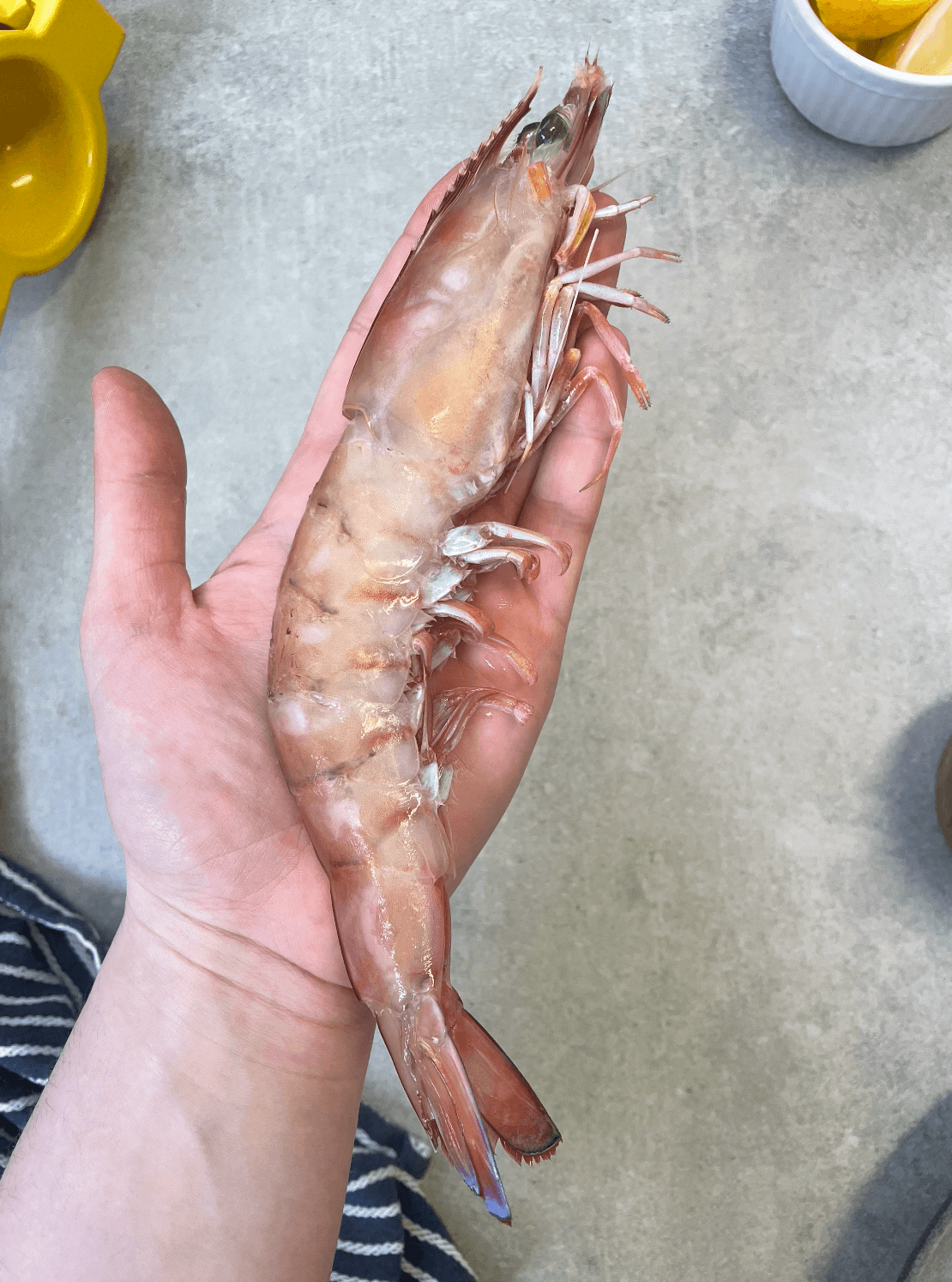 Whole Raw Australian King Prawn (XXL)