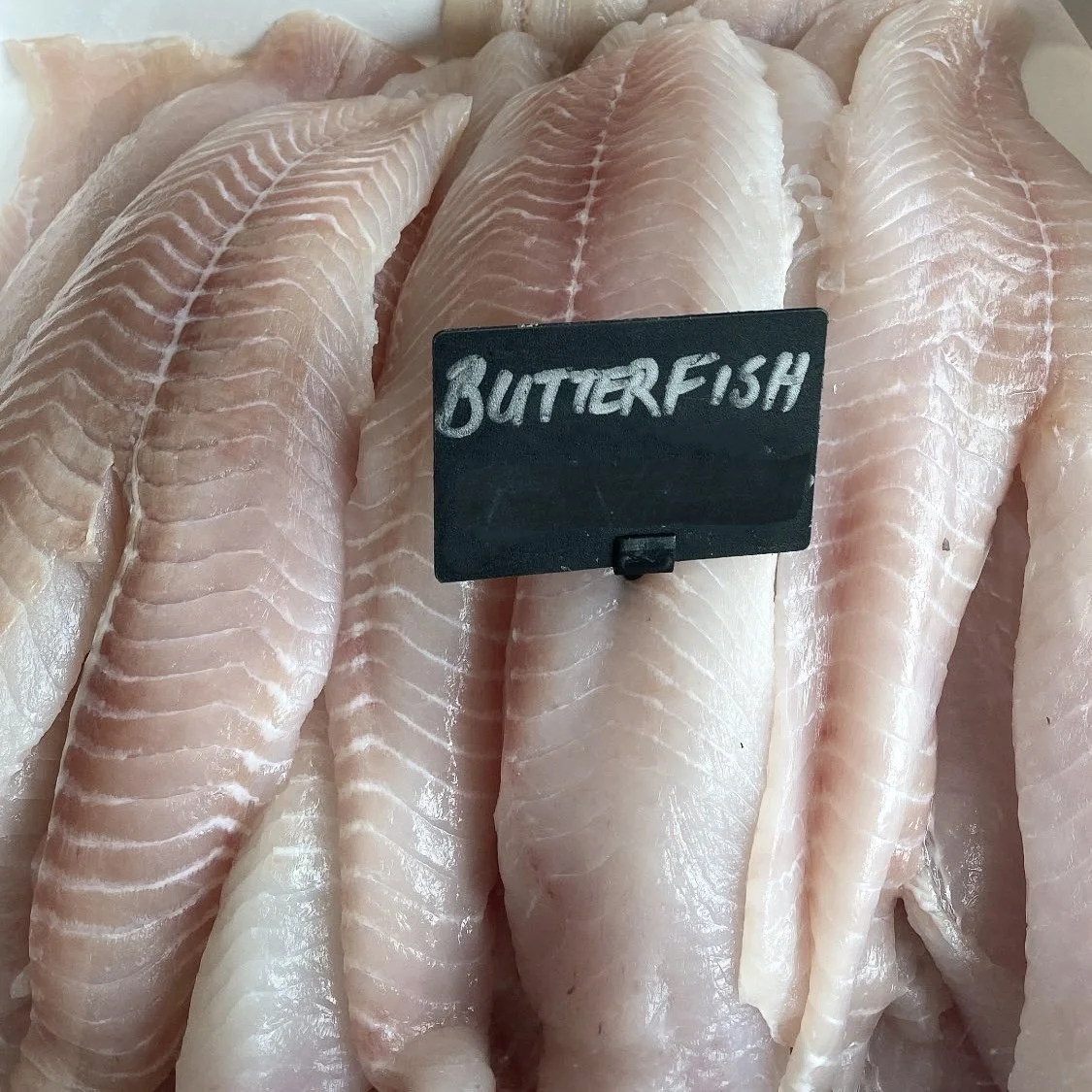 Butterfish Fillets (Skinned & Boned)