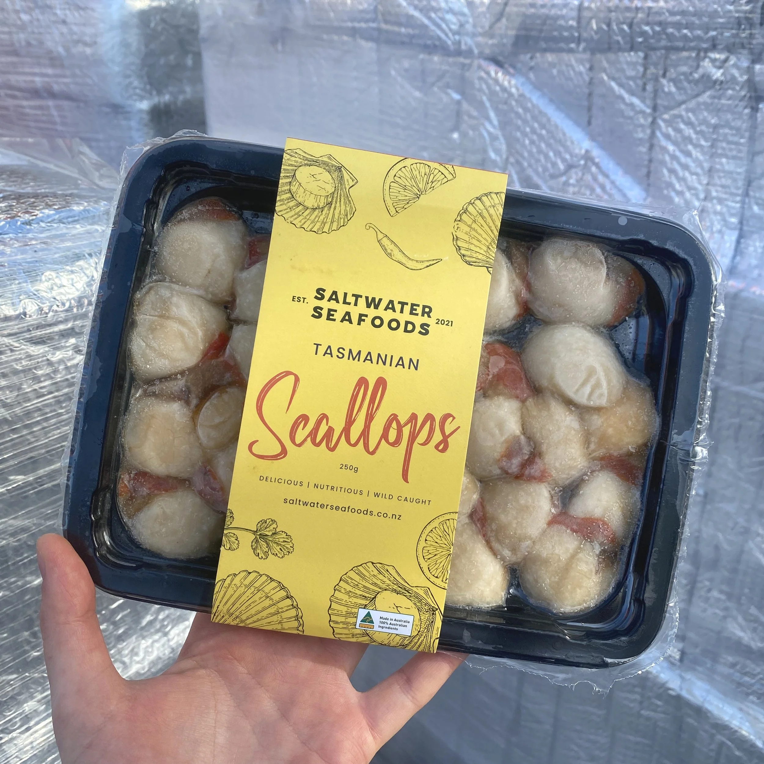 Tasmanian Scallops (Frozen)